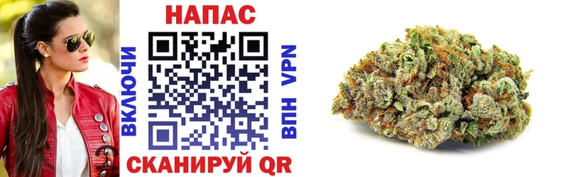 Где найти наркотики Грязи A PVP  ГАШИШ  Псилоцибиновые грибы  Каннабис  Амфетамин 