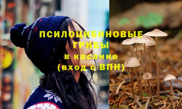 прущие грибы Баксан