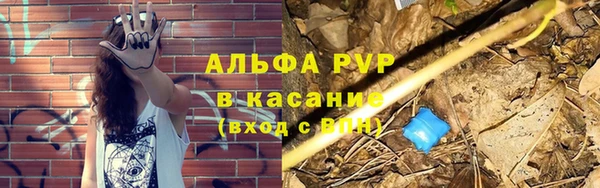 прущие грибы Баксан