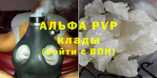 прущие грибы Баксан