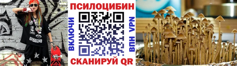 Галлюциногенные грибы ЛСД  Грязи 